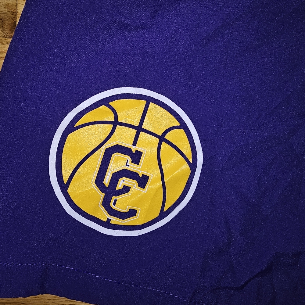 Nike Lakers Purple Athletic Shorts with Logo - Picture 3 of 6